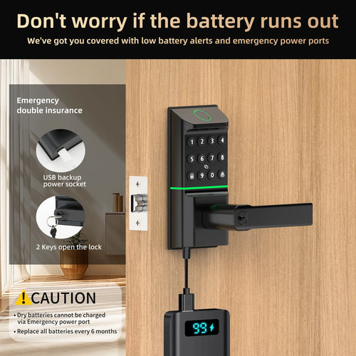 Smart Fingerprint Door Lock Passcode Unlock Electronic Touchscreen Keypad Handle TYPE-C Interface App Control